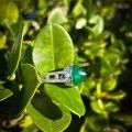 PLATINUM SUGARLOAF EMERALD RING