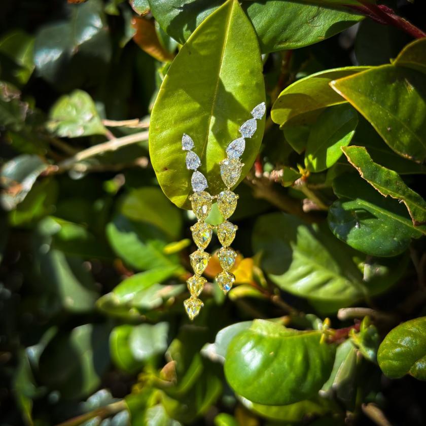 YELLOW DROPS