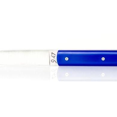 SET OF 2 FRANCE BLUE STEAK KNIVES
